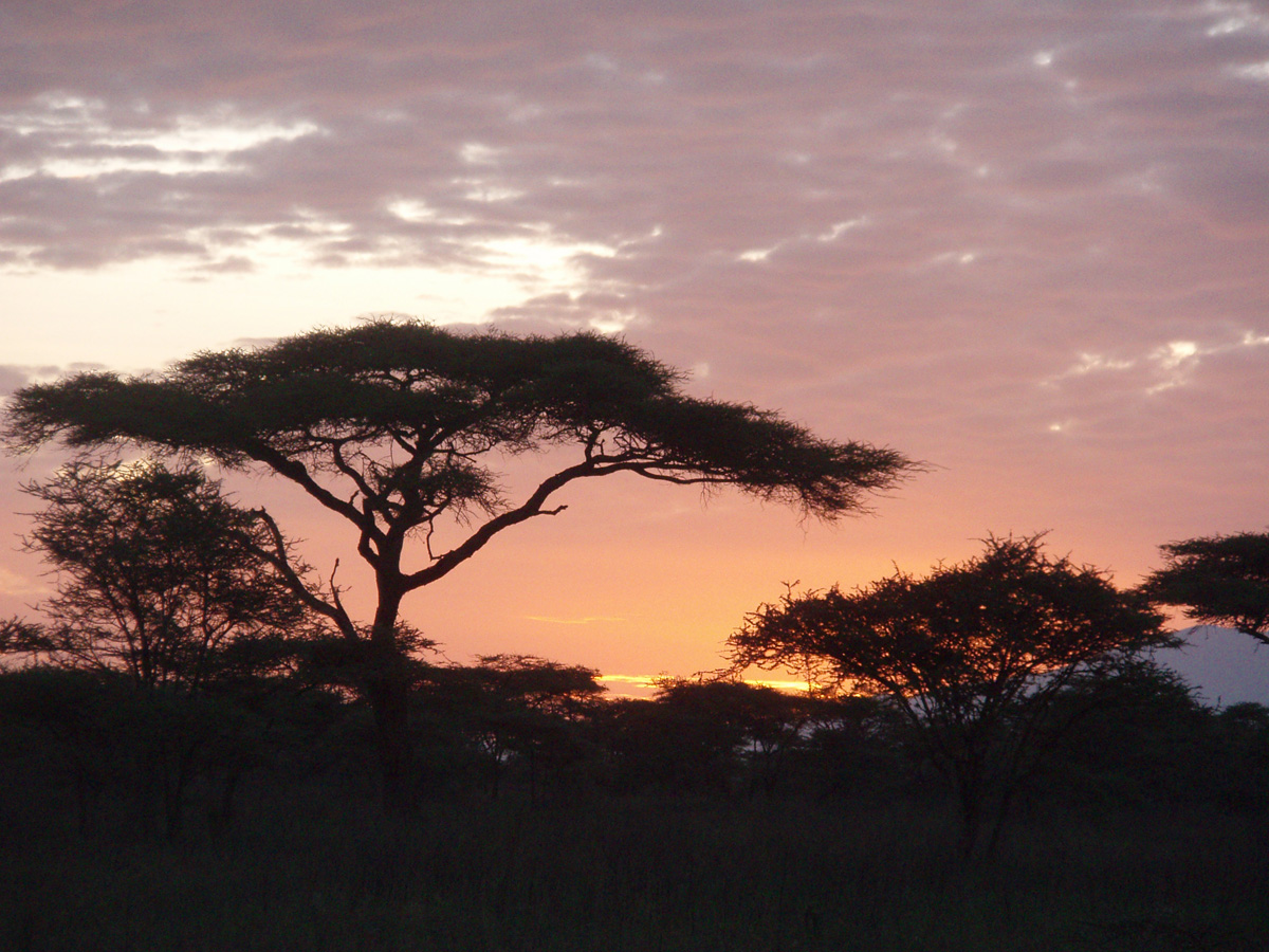 wp-content/uploads/itineraries/Safari/ndutu_tented_camp_sunset011308 (1).jpg